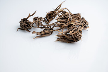 Close up of Ranunculus Tuberous Roots on Light Background