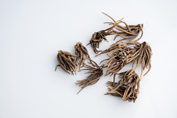 Close up of Ranunculus Tuberous Roots on Light Background