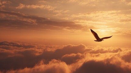 Fototapeta premium A bird glides gracefully above the soft, fluffy clouds as the sun sets, casting golden hues across the sky, creating a serene and picturesque landscape at dusk.