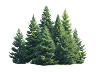 Obraz premium PNG of A lush cluster of evergreen trees, creating a serene and vibrant natural backdrop.