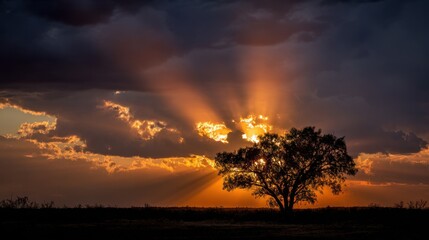 A beautiful sunset casts vibrant rays of light through the clouds, creating a dramatic scene behind a lone tree in a tranquil outdoor setting. The colors blend harmoniously in the evening sky.