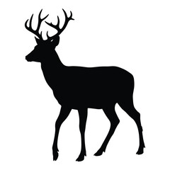 Majestic stag with large antlers stands in a striking silhouette