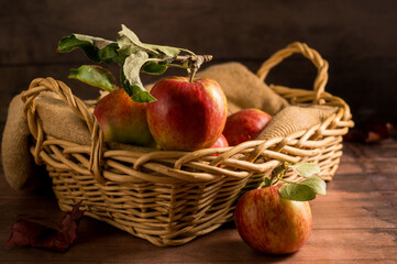 Freshly picked red apples in a basket, rustic wooden background
