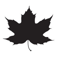 Black Silhouette of a Maple Leaf Vector Design illustration on a white background
