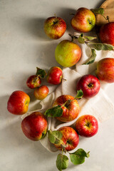 Freshly picked red apples on plate, rustic bright background, top view