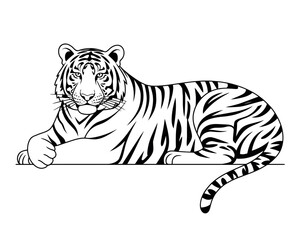 Fototapeta premium Illustration of a tiger lying down with black stripes on a white background in a cartoon style