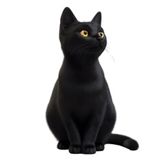 3D black cat, Realistic 3D Black Cat Model with Striking Details and Sleek Fur, Perfect for Animation or Design Projects, isolated on transparent background