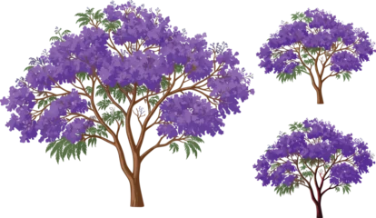 Fototapete Rund Warmes Lila Jacaranda tree illustration, purple blossom artwork, vibrant floral design, blooming nature background, decorative landscape tree, artistic spring season drawing, colorful garden scene  © Sohan Creatives