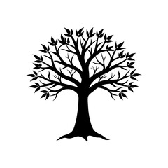 Obraz premium Silhouette of a leafy tree art