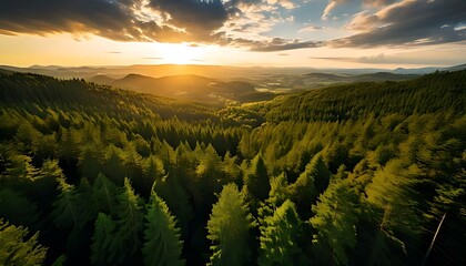 Golden Hour over Endless Evergreen Forest A Majestic Sunset Landscape Captured in Ultra-HD 16K