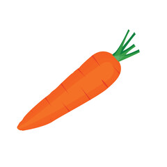 Vibrant Orange Carrot with Green Tops