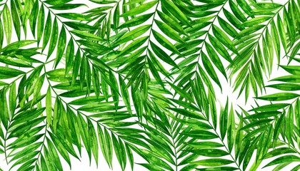 Tropical palm leaves pattern on white background