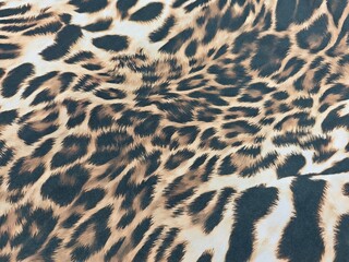 leopard fur texture