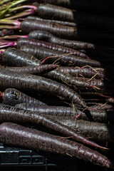 Purple Carrots in a row at a Farmer's Market 