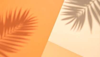Shadowy palm leaf casts a delicate pattern on a soft peach and cream color backdrop, evoking a serene and tranquil atmosphere.
