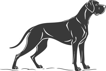 Great Dane Dog Silhouette – Vector PNG, Transparent Background
