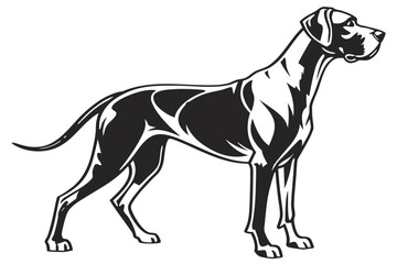 Great Dane Dog Silhouette – Vector PNG, Transparent Background
