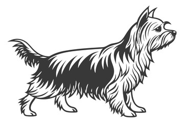 Yorkshire Terrier Dog Silhouette – Vector PNG, Transparent Background