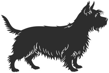Yorkshire Terrier Dog Silhouette – Vector PNG, Transparent Background