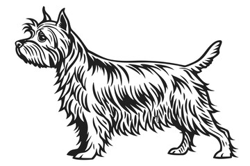 Yorkshire Terrier Dog Silhouette – Vector PNG, Transparent Background
