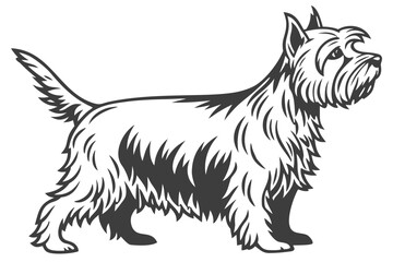 Yorkshire Terrier Dog Silhouette – Vector PNG, Transparent Background