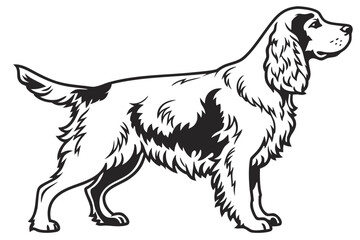 Cocker Spaniel Dog Silhouette – Vector PNG, Transparent Background