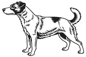 Jack Russell Terrier Dog Silhouette – Vector PNG, Transparent Background