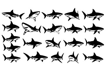 Fototapeta premium cute Shark vector set graphic clipart design featuring various shark species and dynamic poses. Ideal for ocean, marine life, wildlife projects, sports logos, and educational materials.