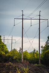 Industrial power lines against a cloudy gray sky, towering over a foreground of mixed green and brown foliage and thorny branches.