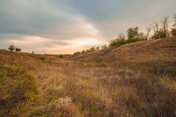Fototapeta premium A wide landscape shot of a rolling valley with dry, tall grasses and a treeline on the horizon under a beautiful, colorful sunset sky.
