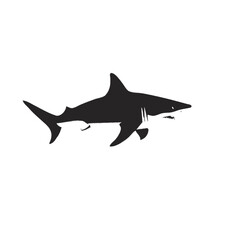 shark vector illustration