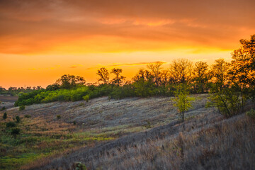 a peaceful, wide shot of a rolling countryside with a prominent line of trees on the horizon,...