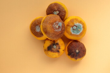 Old rotten citrus fruit, tangerine. Above angle shot. Orange color with brown and green mold.