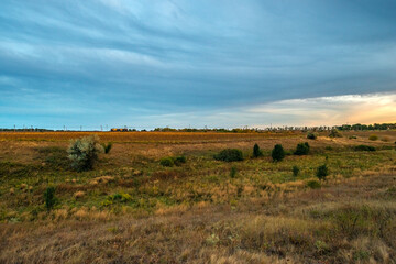 A lone, leafless tree in the middle of a dry field under a muted, soft gray and purple dusk sky, with power lines and a harvested field in the background.