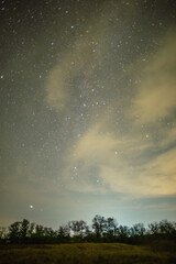 An enchanted evening view of a starlit sky, with the milky way visible through thin clouds, and a line of dark trees on a hill in the foreground.