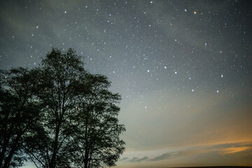 The night sky filled with a multitude of stars and a single shooting star, with the silhouette of trees on the left side and a faint glow on the right horizon.