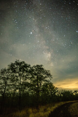 The milky way galaxy stretching across the night sky above a dark landscape, with a dirt road leading into the darkness and the outline of trees on the horizon.