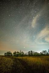 A wide view of a field at night, with a dirt path leading into the frame, all under a vast, star-filled sky with the milky way shining brightly.