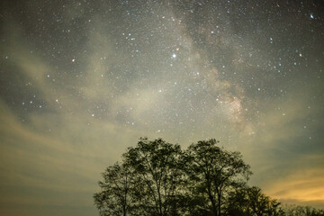 The milky way arching over the tops of silhouetted trees, with thin clouds adding texture and a warm glow from the horizon on a clear night.