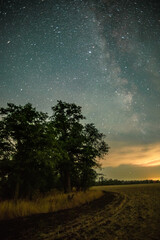 A view of the milky way in the summer sky over a field with silhouette trees on a warm night.