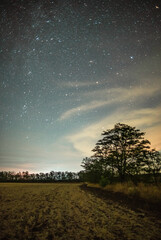 A lonely tree on a field under a clear blue-orange sky full of tiny stars in the middle of summer night.