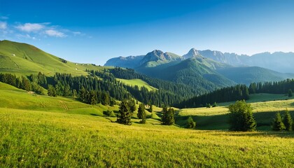 Obraz premium Mountains Landscape With Green Plains And Woods
