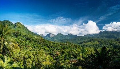 Obraz premium Tropical Forest And Mountains Under Blue Sky