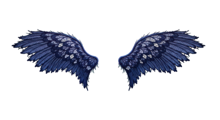 Pair of detailed, dark blue angel wings.  Delicate,  studded embellishment