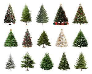 Fototapeta premium PNG Diverse festive Christmas trees collection, element set on transparent background