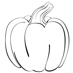 Pumpkin - Stylized Illustration. Black Outline, Transparent Background.