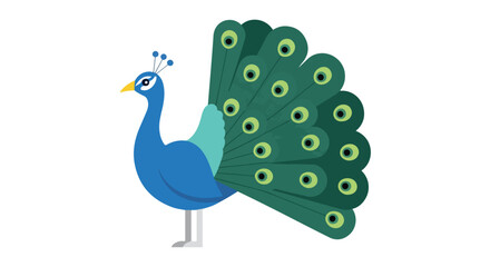 Stylized Peacock Illustration with Vibrant Feathers and Elegant Design in Simple Graphic Formate illustration