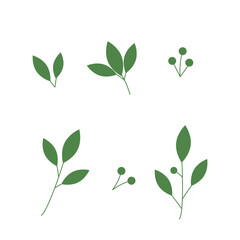 なナチュラルな葉っぱのイラスト素材