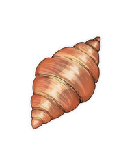 Cartoon little croissant on the white background
