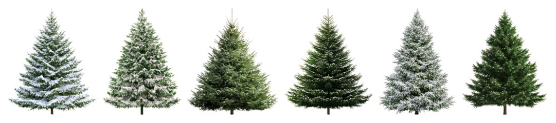 Fototapeta premium PNG Snowy evergreen trees in winter, element set on transparent background